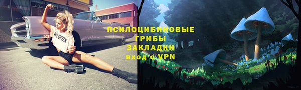 гашик Бородино