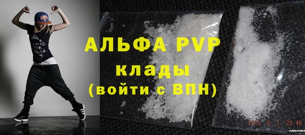 гашик Бородино