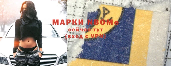 гашик Бородино