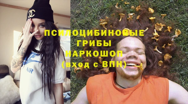 гашик Бородино